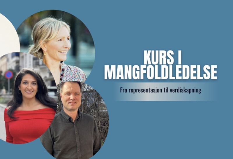 Kurs i mangfoldledelse